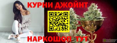 сатива Лесосибирск