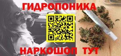 шишки Ливны