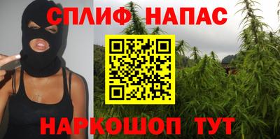 сатива Лесосибирск