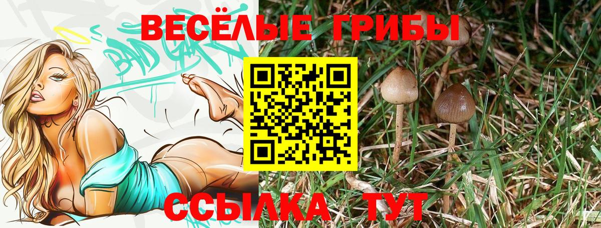 Гулькевичи  Галлюциногенные грибы GOLDEN TEACHER  Вход с VPN 